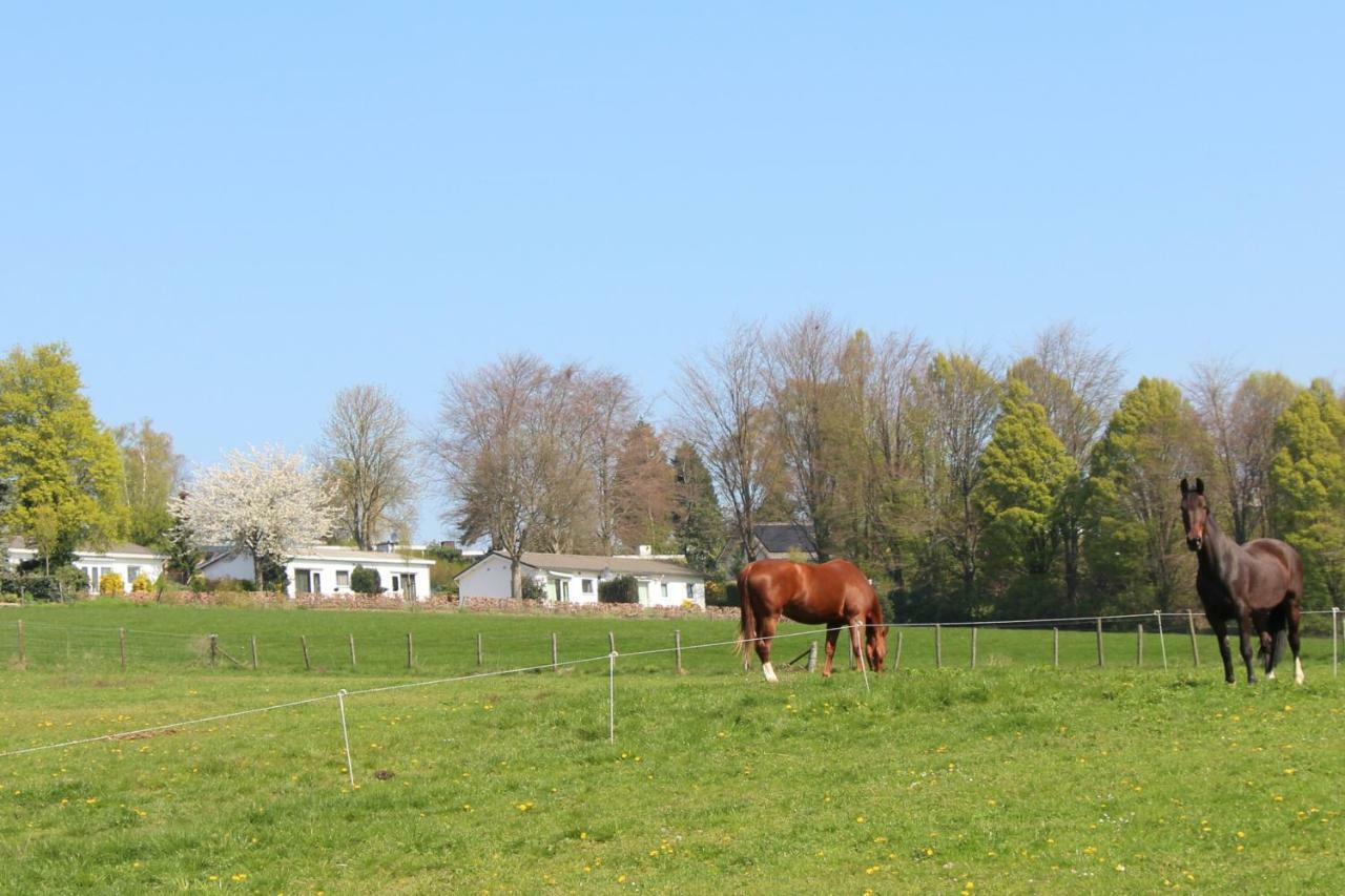 Domein Hellebeuk met UITZICHT! Valkenburg/Klimmen Buitenkant foto